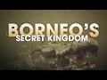 Download Lagu Borneo's Secret Kingdom: King of the Swamp #animals #borneo #wildlife #4k