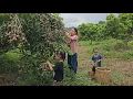 Download Lagu Een goed inkomen door de fruitoogst is voor Vui een grote motivatie om voor kinderen te zorgen.