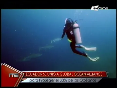 Ecuador se unió a Global Ocean Alliance para proteger el 30% de los Océanos