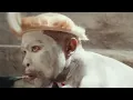 Uyavala (feat. Pcee) - Busta 929