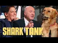 These Ruff Liners Made the Sharks Sit Stay Shark Tank US Shark Tank Global