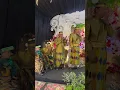 Download Lagu Bugis traditionele bruid en bruidegom, Pinrang, Zuid-Sulawesi, Indonesië.