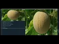 Opencv - ep1 Basic functions cv2 imread cv2 imshow cv2 waitKey 0 detect faces