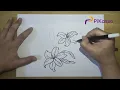 How to Draw a Lily Pad Flowers Easy step by step