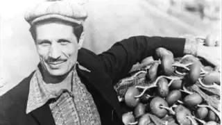                                                دندنها
