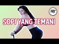 SOPI YANG TEMANI - DISCO LATIN 🌴🌴 - ( JANUARD MGL ) - REMIX!!#lagutimurremix