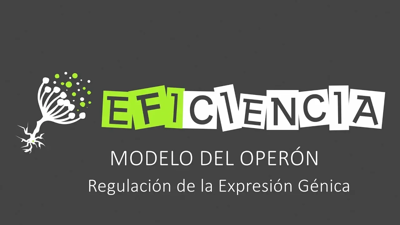 MODELO DEL OPERÓN. Regulación de la Expresión Génica