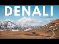 Denali National Park Guide Green Bus Tour to Eielson Visitors Center Grizzly Bears More