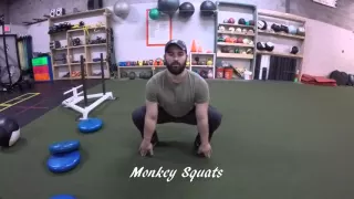 Monkey Squats