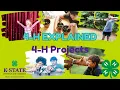 4 H Explained 4-H Projects