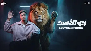 زى الاسد واقف وتد   متعملش جدع اعمل فلوس   حمو الطيخا        توزيع حمو موكا دندنها