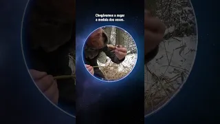 E se você vivesse na Idade da Pedra? #shorts