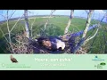 Download Lagu Hoera, een pykje!