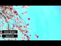 Nora En Pure - Infinite Memories