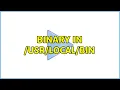 Binary in bin 3 Solutions