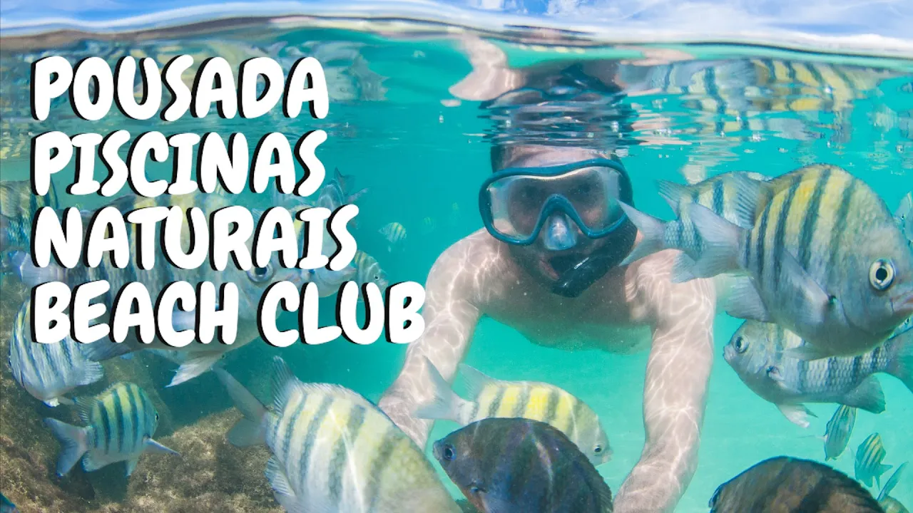 O que fazer em um dia em #maragogi - #alagoas?