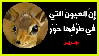أبيات خالدة      شرح البيت إن العيون التي في طرفها حور   قتلننا ثم لم يحيين قتلانا للشاعر جرير دندنها