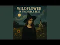 Download Lagu Wildflower in the Bible Belt