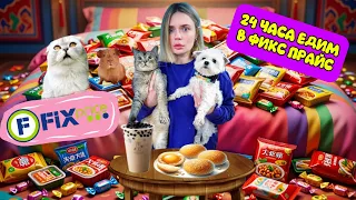 24 ЧАСА ЕДИМ ТОЛЬКО ЕДУ ИЗ FIX PRICE С КОТАМИ И МОРСКОЙ СВИНКОЙ | ЭТО СЪЕДОБНО???