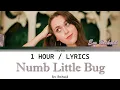 Em Beihold | Numb Little Bug [1 Hour Loop] With Lyrics