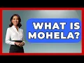 What Is Mohela - The College Explorer