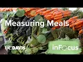 Measuring Meals The Impact of Food Security Programs at UC Davis