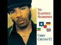 Look Good In Leather - Cody ChesnuTT