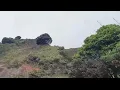 Enjaami Thandhaane - Lyrical | Idli Kadai | Dhanush, Nithya Menen |GV Prakash Kumar |Arivu | Nature
