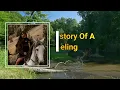 Madi Diaz - History of a Feeling  (Lyrics)