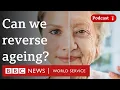 Have we already found the fountain of youth - The Global Story BBC World Service