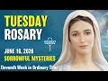 Tuesday Rosary Sorrowful Mysteries of the Rosary June 16 2026 VIRTUAL ROSARY
