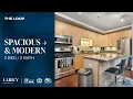 212 W Washington St Unit 1707 Chicago IL Laricy Properties Drone Tour Listing