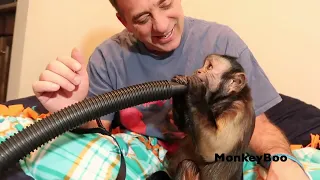 Monkey Fun with ShopVac