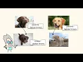 It s All in the Genes Inheritance and Variation of Traits MightyOwl Science 3rd Grade