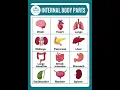 Internal Body Parts Vocabulary in English