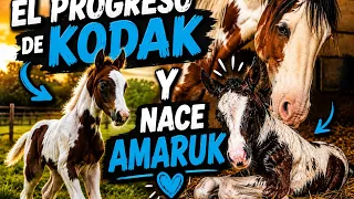 El progreso de Kodak y nace Amaruk