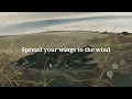 Gene Clark - Polly (lyrics)