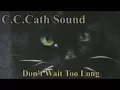 Lagu C.C.Catch - Don't Wait Too Long (Ryan Benson vers.2017)