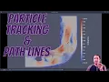 ParaView Postprocessing 13 Fluid flow particle tracking and path lines