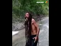 Planta e Raiz - Com certeza!