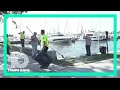 Red tide at the beach See the latest conditions