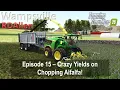 Lagu Crazy Yields on Chopping Alfalfa! | E15 Wampsville NY | Farming Simulator 25
