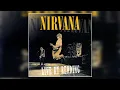 Download Lagu Nirvana - Love Buzz (Live at Reading, 1992)