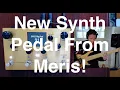 Meris Enzo X --- Mono/Polyphonic Synthesizer Pedal --- Bass Demo