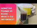 Donating plasma vs blood what s the difference