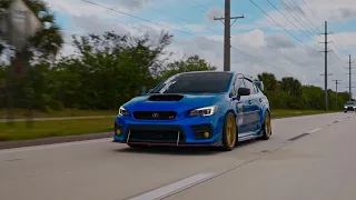 WORLD RALLY BLUE SUBARU STI