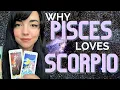 PISCES AND SCORPIO COMPATIBILITY PART ONE