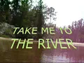 TAKE ME TO THE RIVER ~ TALKING HEADS  ~ (Lyrics)