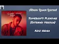 Download Lagu Lyrics Somebody's Pleasure (Extended Version) ~ Aziz Hedra