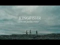 Download Lagu Kingfishr - Heart In The Water (Official Video)